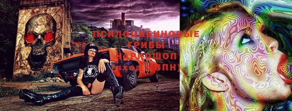 бошки Арсеньев