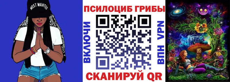 Псилоцибиновые грибы GOLDEN TEACHER  Тулун 
