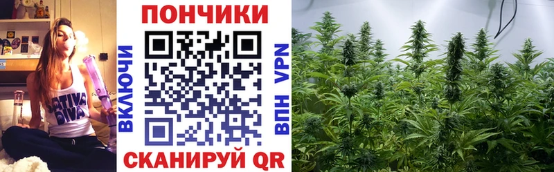 дарк нет телеграм  сколько стоит  Тулун  МАРИХУАНА индика 